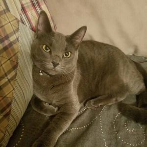 Meet your Posher, Amber